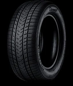 Anvelopa iarna Gripmax SureGrip eWinter 205/55 R17 95V XL Reducere de preț
