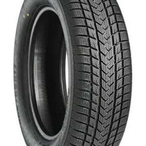 GRIPMAX Suregrip ewinter 215/50R17 95V BSW Bestseller