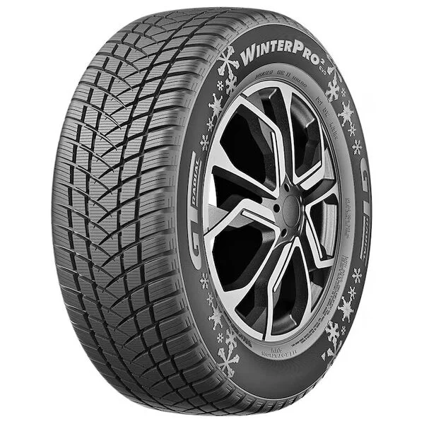 GT RADIAL Winterpro 2 BSW XL 205/55 R17 95H Chilipir