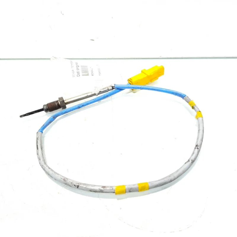 Plată sigură Sonda temperatura gaze, cod 8200941746, Renault Koleos 1, 2.0 DCI, M9R832 (id:548551)
