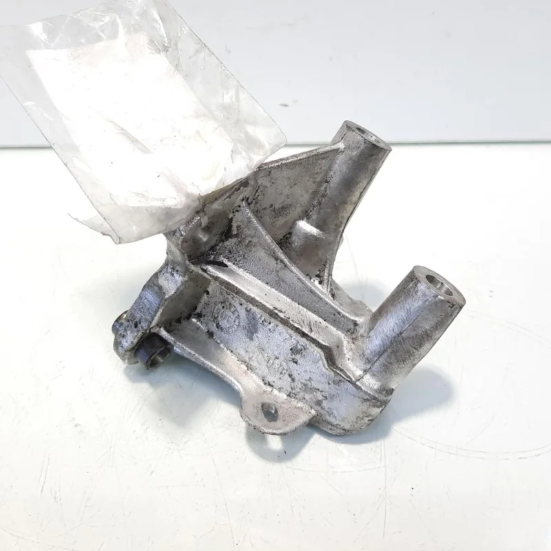 Disponibil imediat Suport pompa inalta presiune, cod 8200193773, Renault Scenic 2, 1.9 DCI, F9Q804 (id:546433)