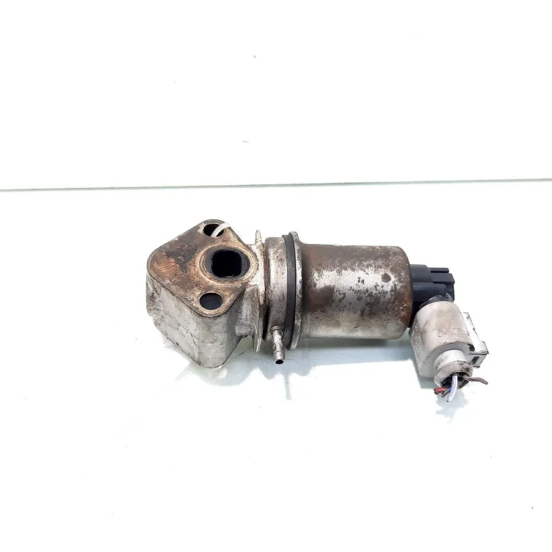 EGR, cod 036131503M, Seat Leon (1M1), 1.6 benz, AUS (id:545239) Cumpărături sigure