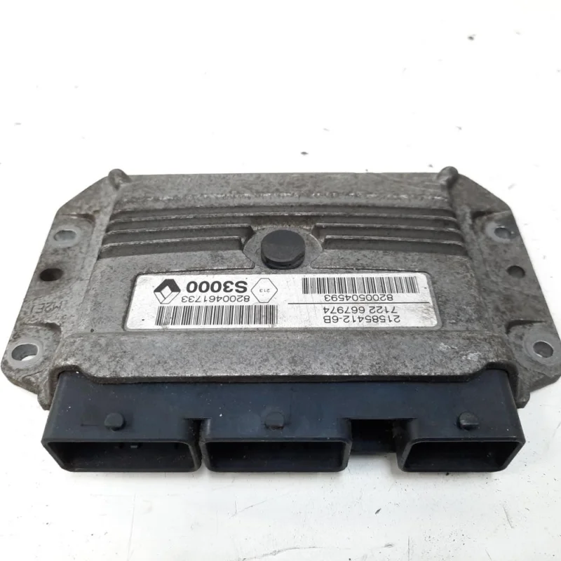Chilipir Calculator motor, cod 8200461733, 8200504593, Renault Clio 3 Combi, 1.4 benz, K4J780 (idi:538429)