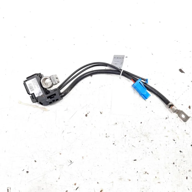 Transport gratuit Borna baterie (-) cu capsa, cod 9215953, Bmw 1 Cabriolet (E88) (idi:540872)