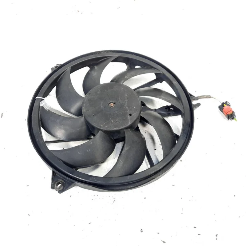 Vezi acum Electroventilator, Peugeot 206 SW, 1.4 HDI, 8HZ (idi:529421)