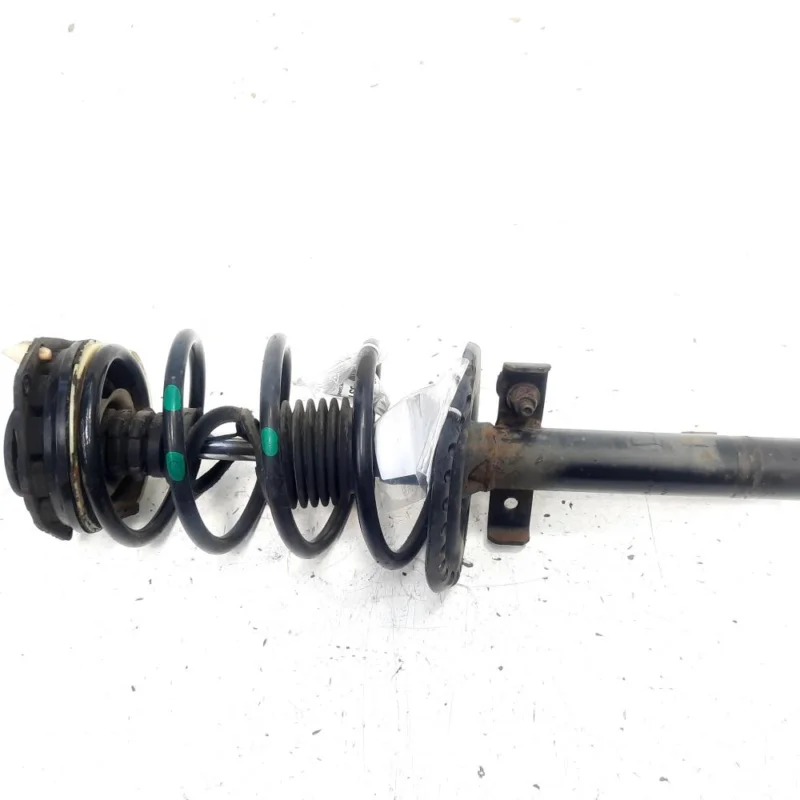 Mai ieftin Amortizor stanga fata, Renault Megane 2 Combi, 1.6 benz, K4M791 (id:531123)