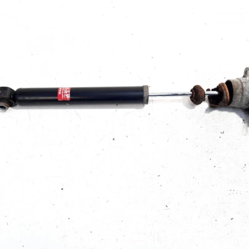 Chilipir Amortizor spate, Audi A4 Avant (8ED, B7) 2.0 TDI, BPW (id:524690)