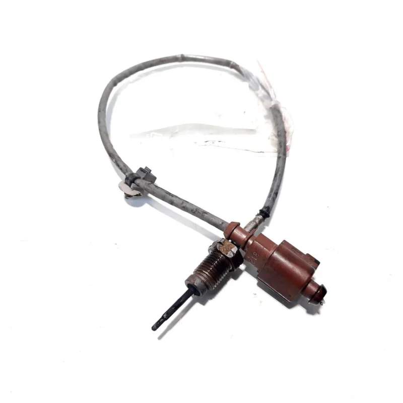 Sonda temperatura gaze, cod 03L906088AR, Seat Exeo (3R2) 2.0 TDI, CAG (id:520521) Reducere