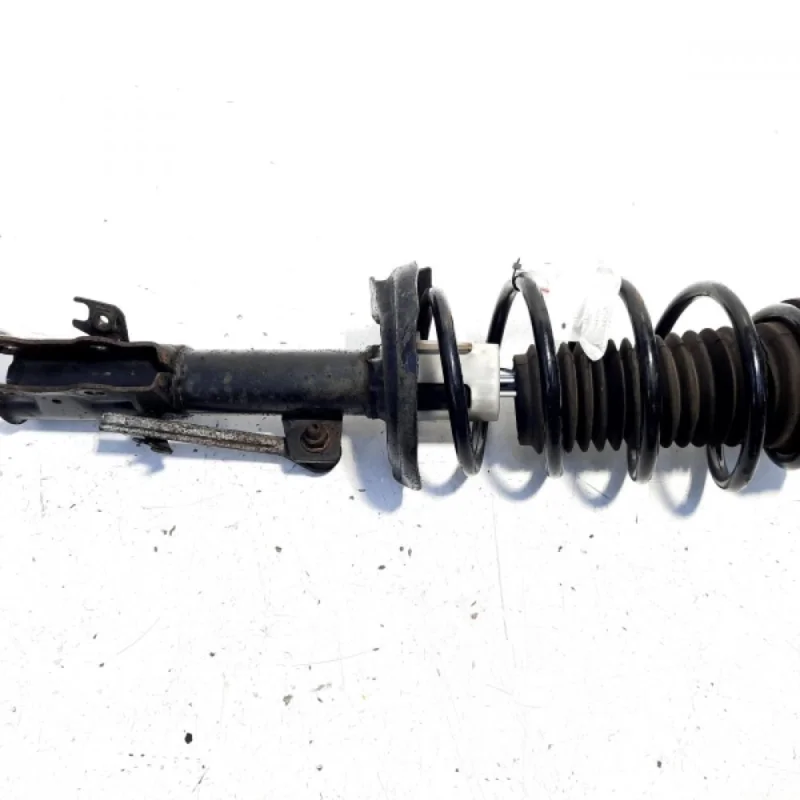 Amortizor spate, Ford Fiesta 6 (id:517257) Cel mai bun preț