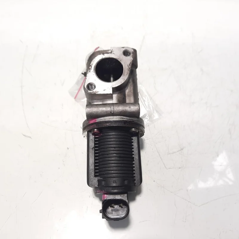 Egr, cod 50024005, Fiat Bravo 2 (198) 1.9 D M-JET, 192A8000 (idi:471602) Nu rata