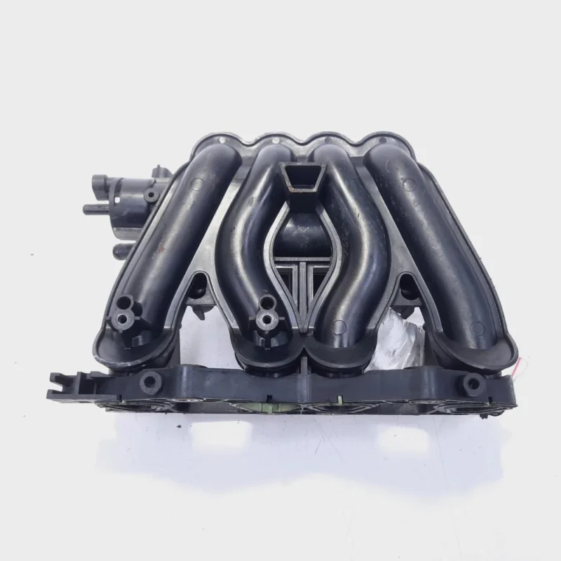 Livrare rapidă Galerie Admisie, cod 55189565, Fiat Panda (169) 1.2 Benz, 188A4000 (id:494958)