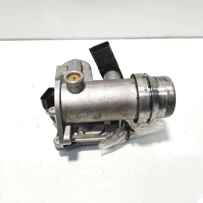 Clapeta acceleratie, cod 161A09287R, Nissan NV 200, 1.5 DCI, K9K646 (idi:485563) Reduceri