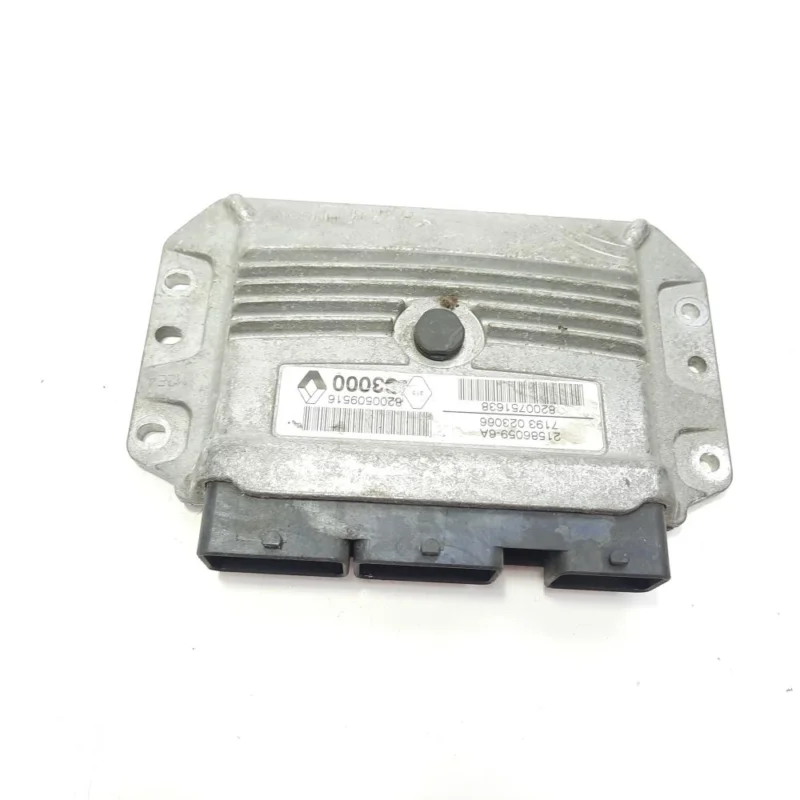 Calculator motor, 8200509516, 8200751638, Renault Megane 2 Combi, 1.4 B, K4J740 (id:482863) Bestseller