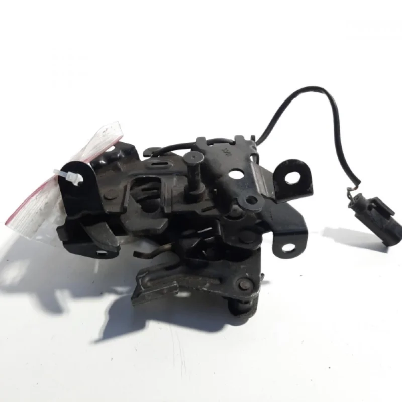 Expediere rapidă Broasca capota stanga, cod 7206453, Bmw 7 (F01, F02) id:466185