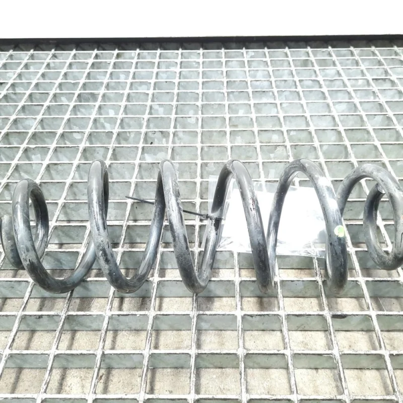 Plată sigură Arc spate, Seat Toledo 2 (1M2) 1.9 tdi, ARL (id:471849)