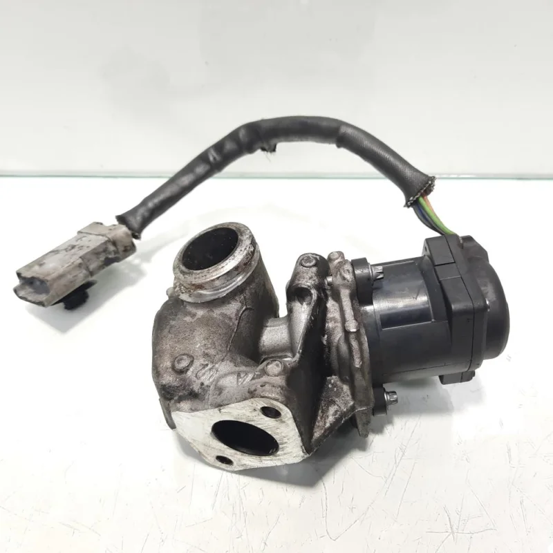 Ultima șansă EGR, cod 9651839180, Ford Focus 2 (DA) 1.6 TDCI, G8DA