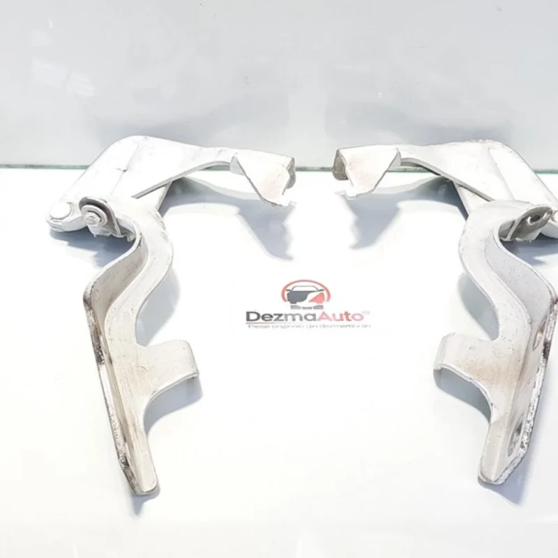 Preț mic Set balamale capota fata, Chevrolet Captiva (C100)