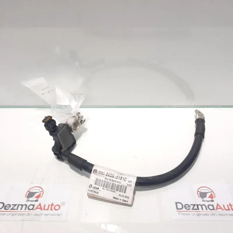 Borna baterie (-) cu capsa, Audi A6 Avant (4F5, C6) [Fabr 2005-2010] 2.0 tdi, BLB, 8K0915181C Expediere rapidă