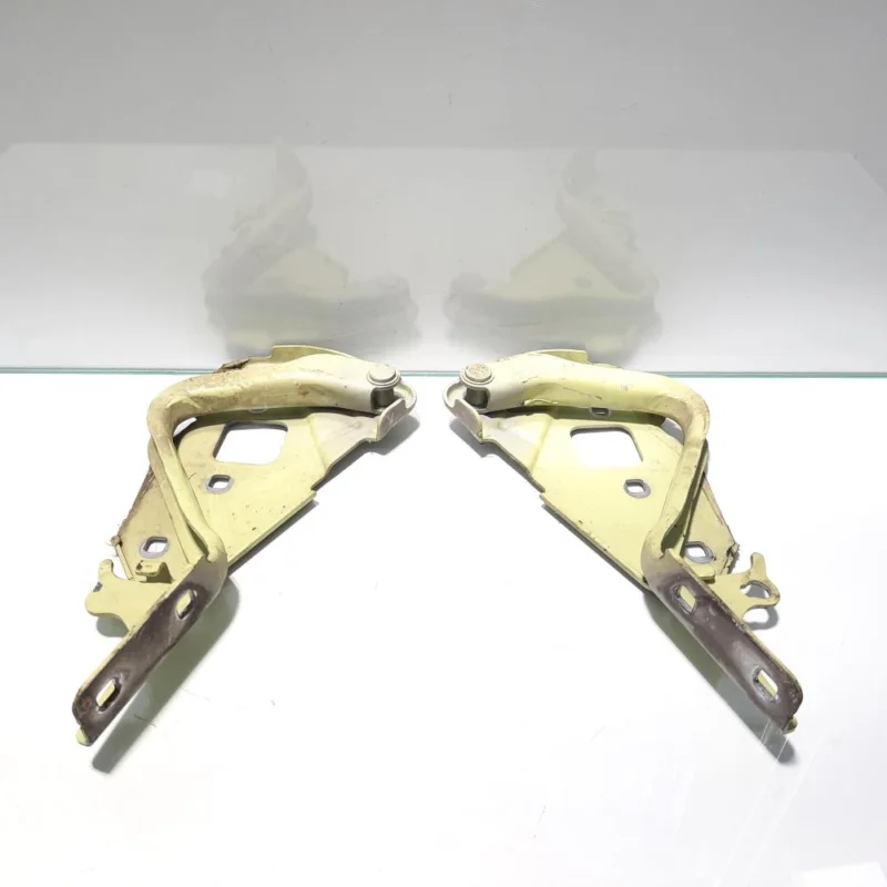 Preț redus Set balamale capota fata, Ford Ka (RU8) [Fabr 2008-2016] (id:449260)