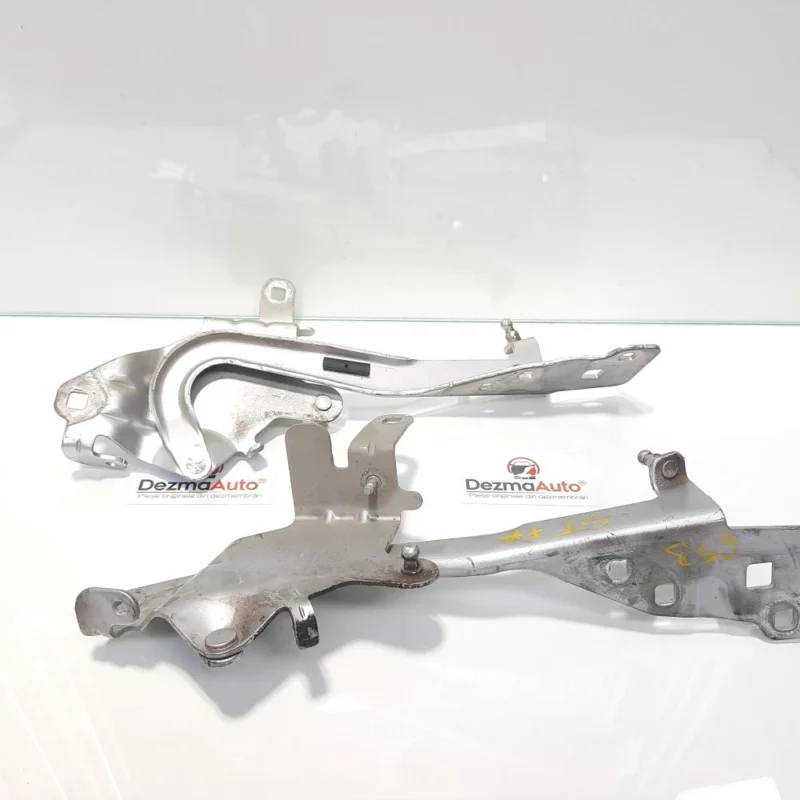 Set balamale capota fata, Renault Scenic 3 [Fabr 2009-2015] 654000004R, 654010004R (id:438775) Ieftin