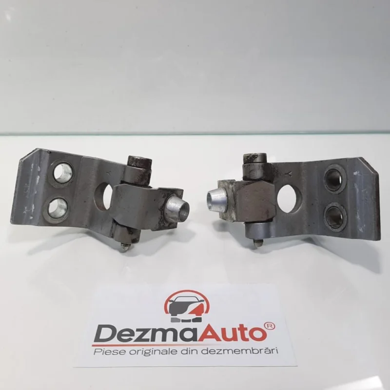 Vezi acum Set balamale stanga fata, Peugeot 206 CC [Fabr 1999-2007]