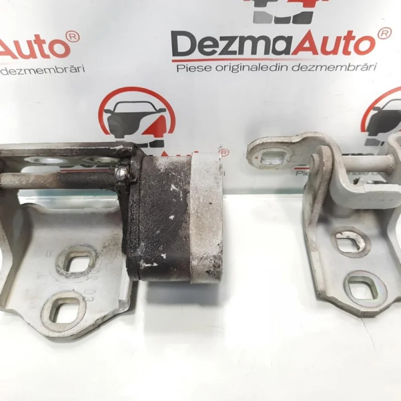 Expediere rapidă Balamale dreapta fata, Renault Megane 2 [Fabr 2002-2008] (id:427050)