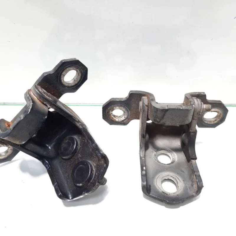 Ultima șansă Set balamale dreapta fata, Renault Vel Satis [Fabr 2001-2009] (id:425170)