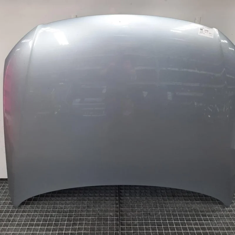 Super ofertă Capota fata, Vw Passat (3C2) [Fabr 2005-2010](id:415134)