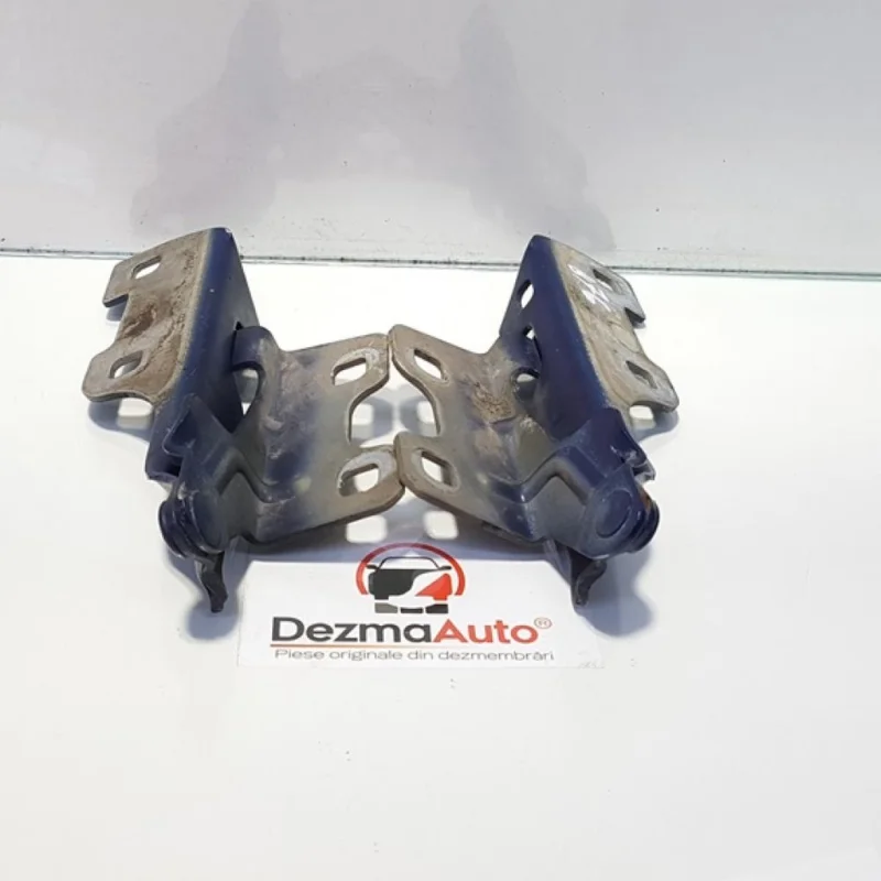 Set balamale capota fata, Renault Symbol / Thalia [Fabr 1998-2007] (id:410104) Preț promoțional