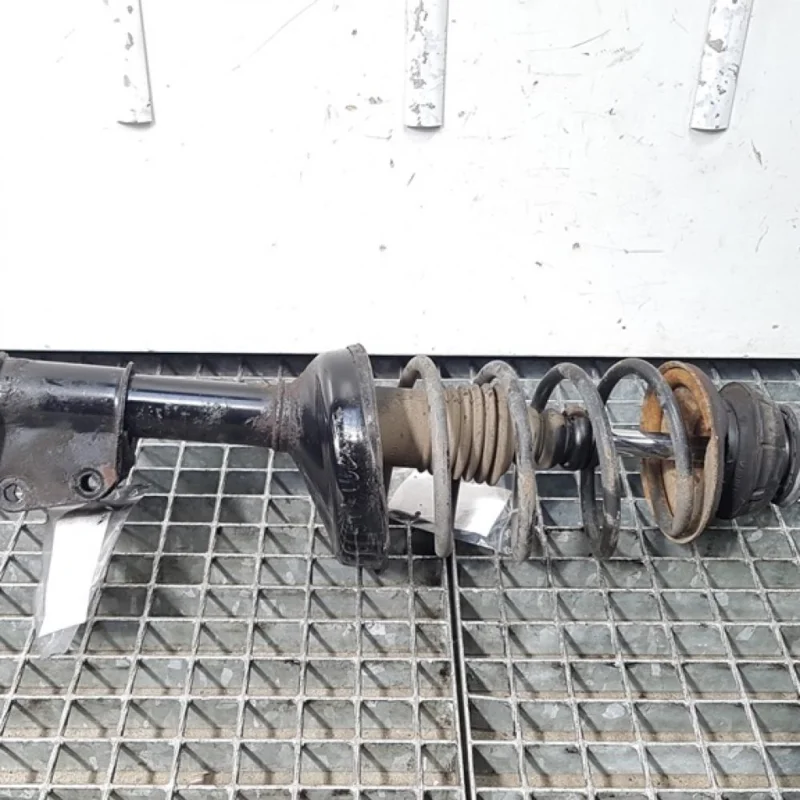 Nu rata Arc fata Renault Symbol / Thalia [Fabr 1998-2007] (id:410076)