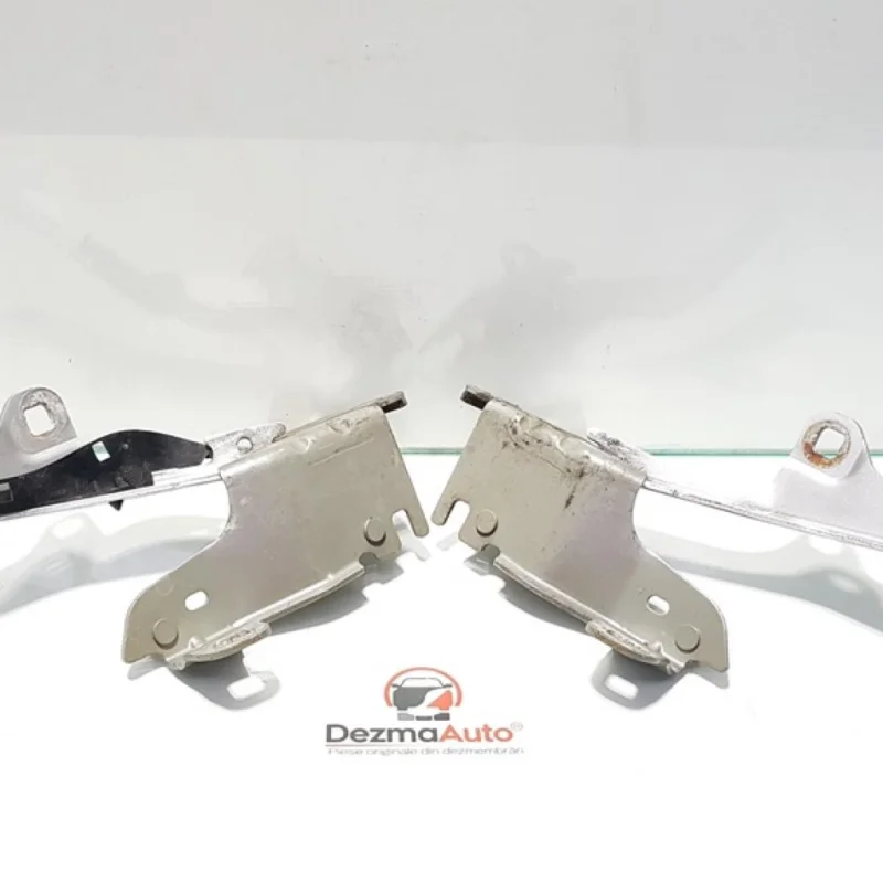 Set balamale capota fata, Renault Laguna 3, 654010001R (id:392417) Ofertă