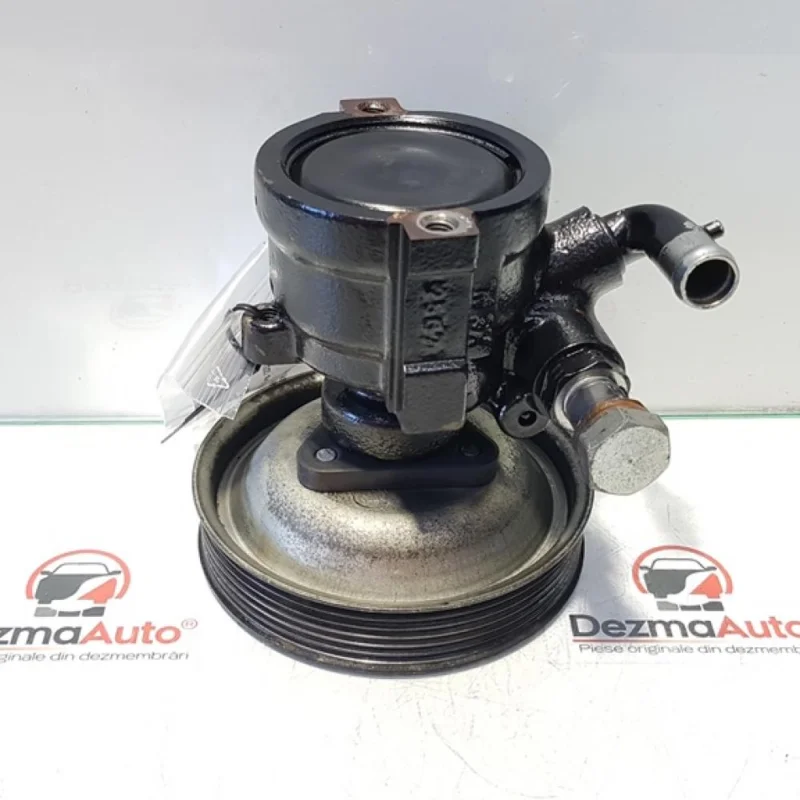 Pompa servo directie, Fiat Doblo Cargo (223), 1.9 jtd, 186A9000, 26064414-FJ (pr:110747) Reducere extra