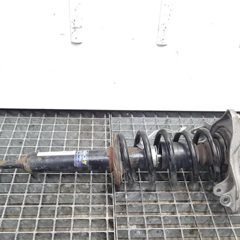 Doar azi Amortizor stanga fata, Vw Passat (3B3), 1.9 tdi, AVF