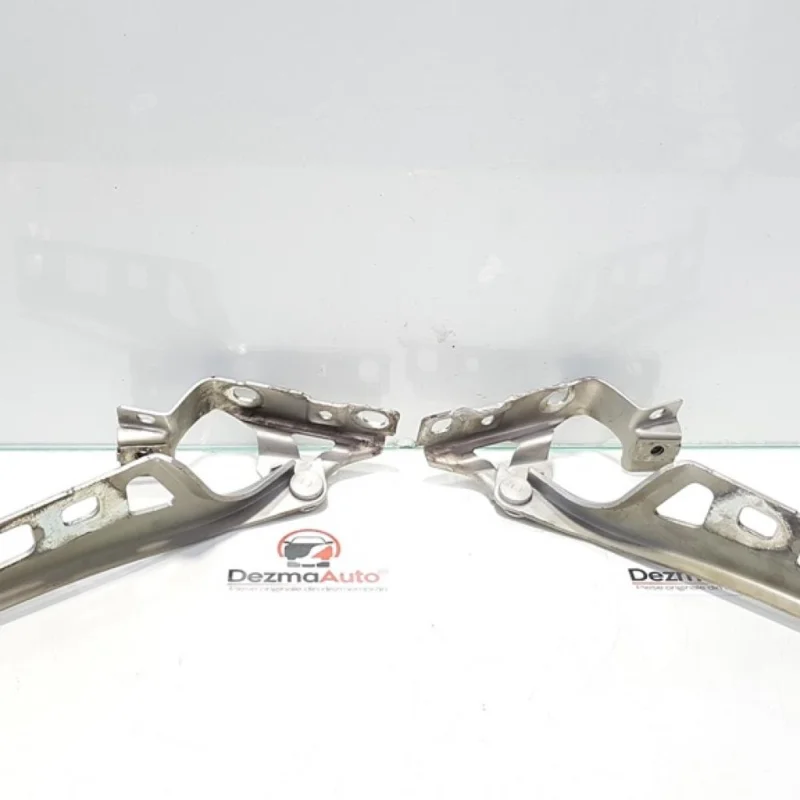 Reducere de preț Set balamale capota fata, Opel Zafira B (A05) cod 473499010 (id:373933)