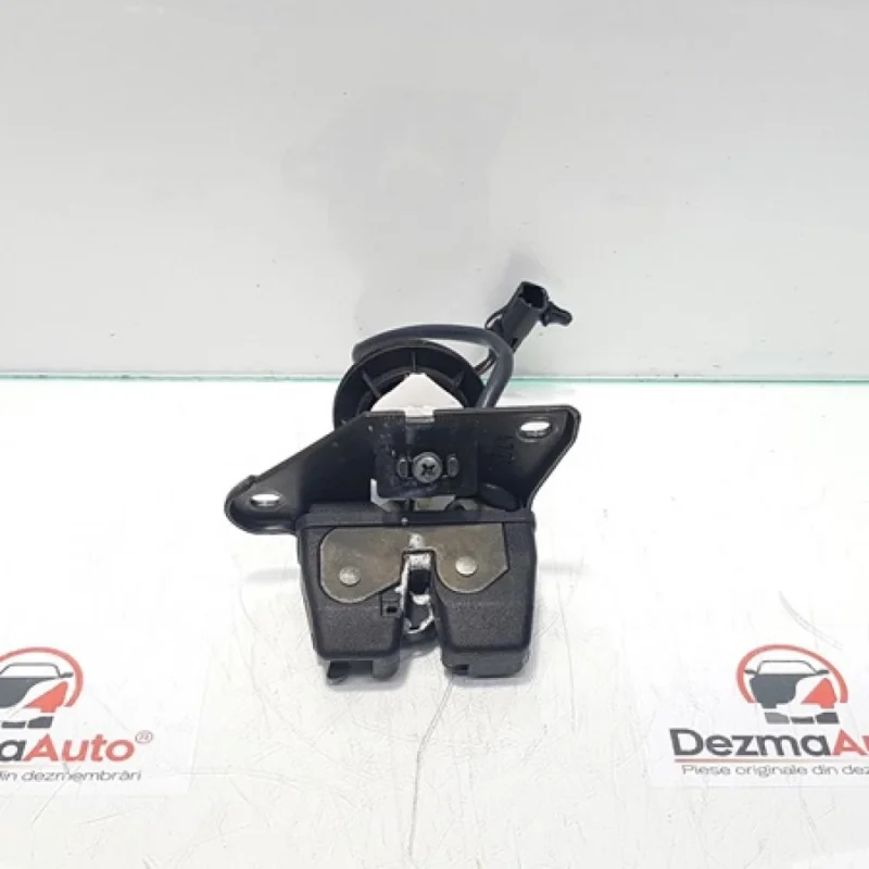 Calitate înaltă Broasca haion, Fiat Punto (188) (id:359805)