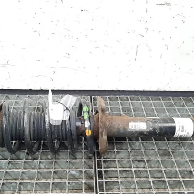 Amortizor dreapta fata, Vw Caddy 3 combi (2KJ) 1.9 tdi, 1T0413031EG Ofertă limitată