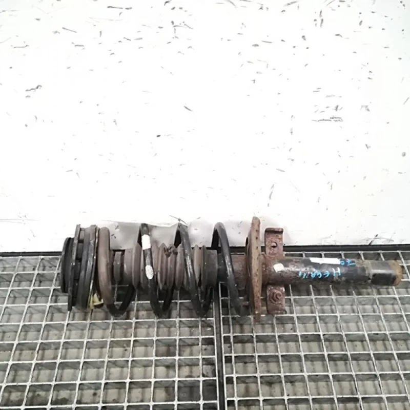 Reduceri Amortizor dreapta fata, Renault Megane 2, 1.9 dci