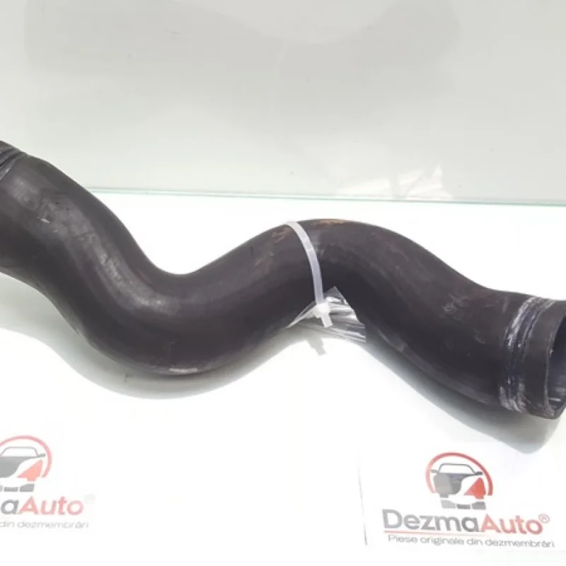 Furtun intercooler, Ford Focus 3, 1.0B (id:341591) Cel mai vândut