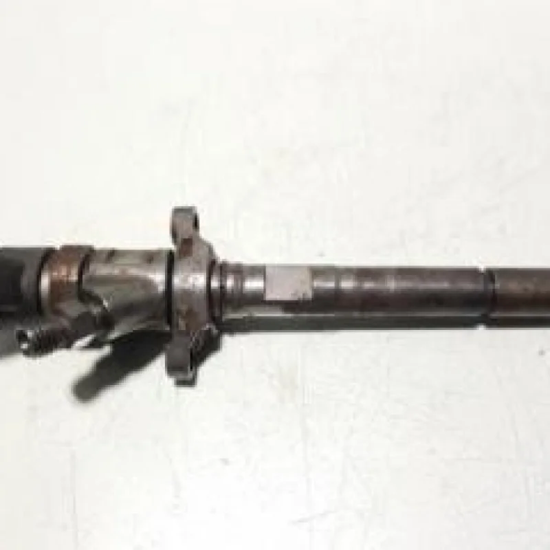 Injector cod 0445110259, Citroen Xsara Picasso 1.6hdi (id:202634) Retur ușor