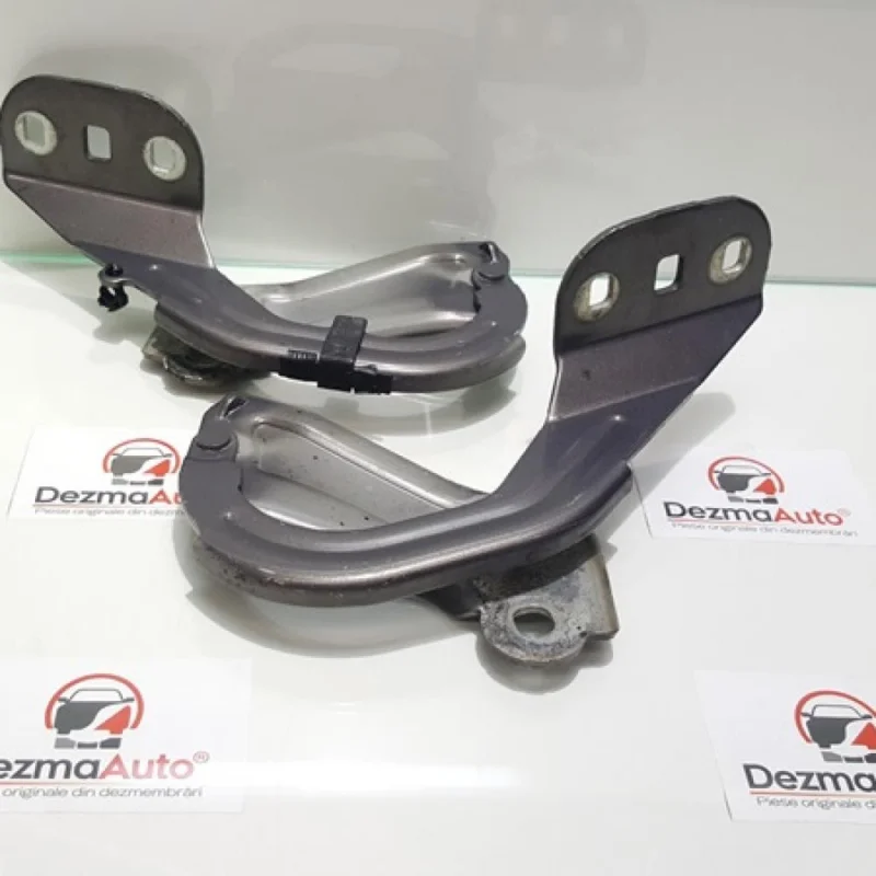 Promoție Set balamale capota fata, BM51-A16800-AB, Ford Focus 3 Turnier (id:279418)