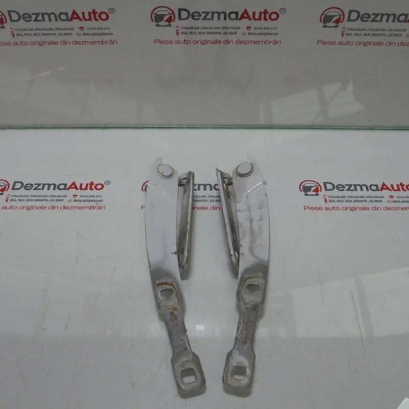 Set balamale capota fata, 2R00002, Dacia Logan (LS) Nu rata